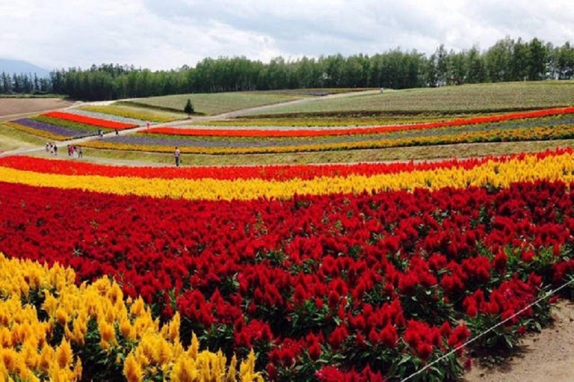 Ark City Asahikawa - Vacation STAY 8523 Bagian luar foto